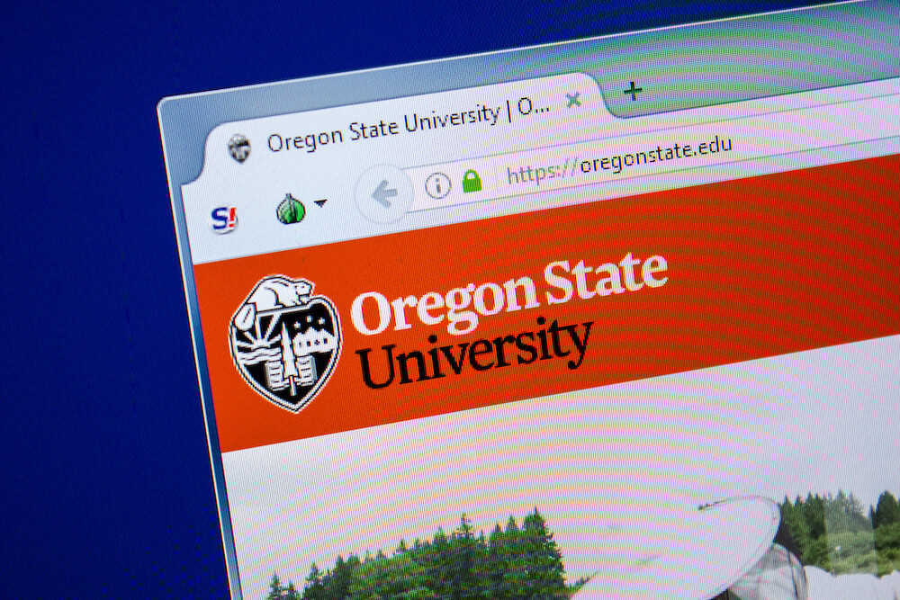 University website