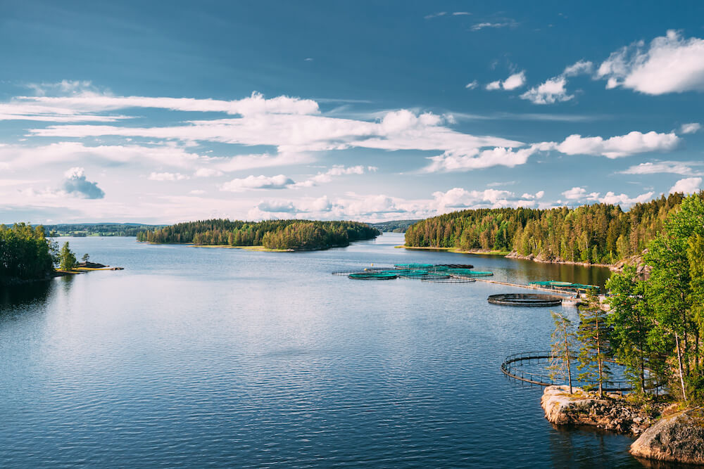 Landscape