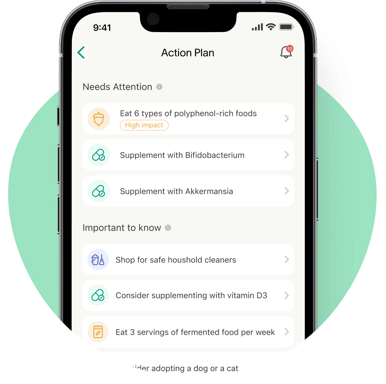 Adult Gut Health Test – Tiny Health