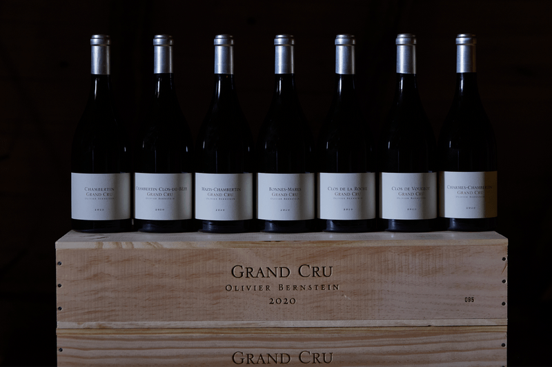 Best Burgundy Wines for Investment Fine Wine Investment CultX