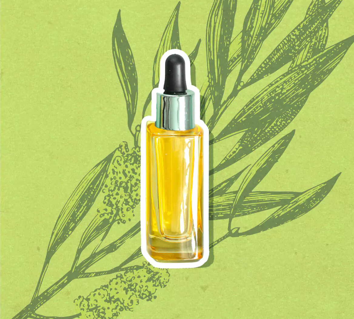 Tea Tree Oil Benefits For Scalp & How To Add It In Your Haircare