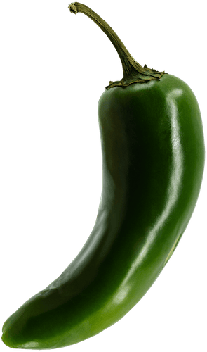Jalapeno Pepper Cutout