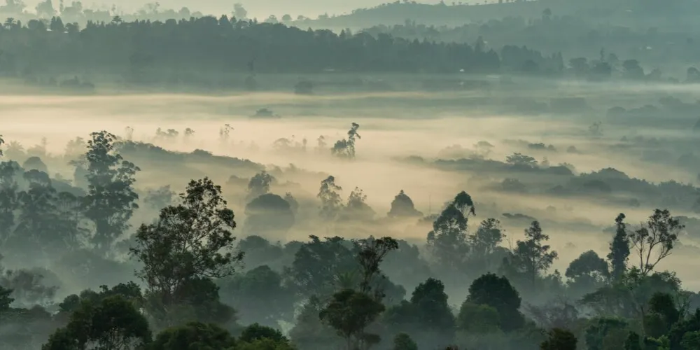 Leave Policy in Cameroon | Employee Holiday Entitlement in Cameroon