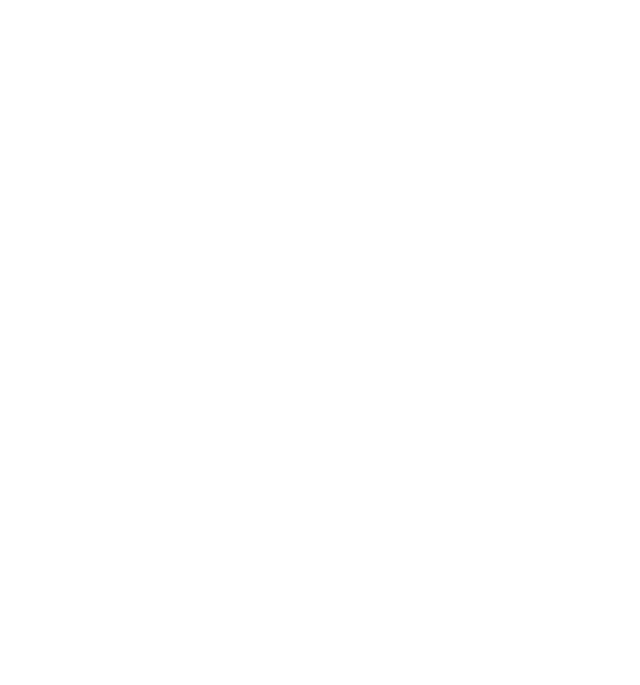 Arnica logo icon