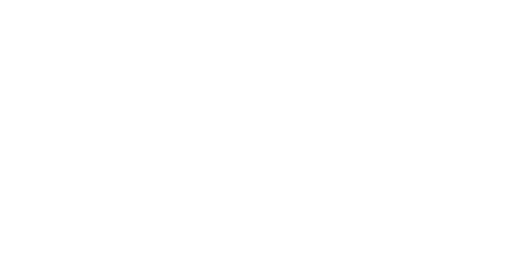 Q41