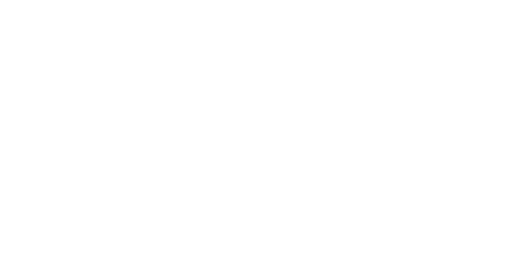 Q41
