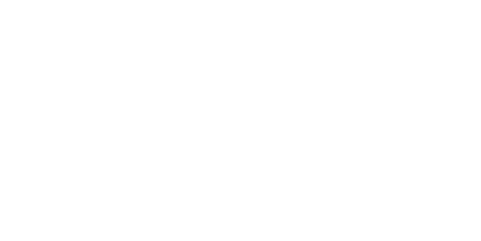 Q41