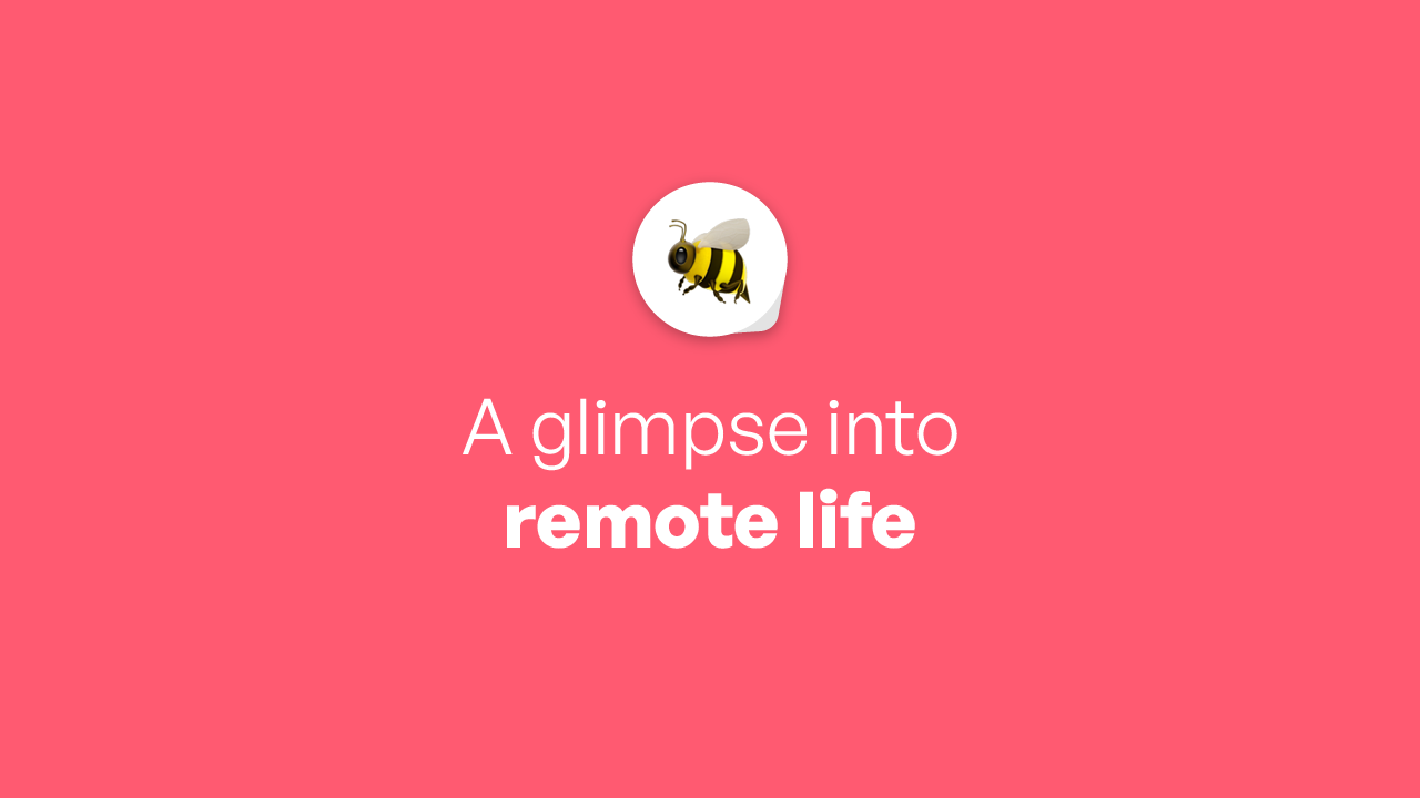 A glimpse into remote life 👀 Beyond Borders Ontop