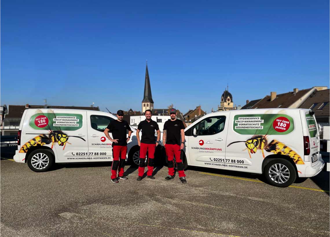 Ein voller Erfolg Schädlingsbekämpfung Stefan Hoffmann trifft Ninox