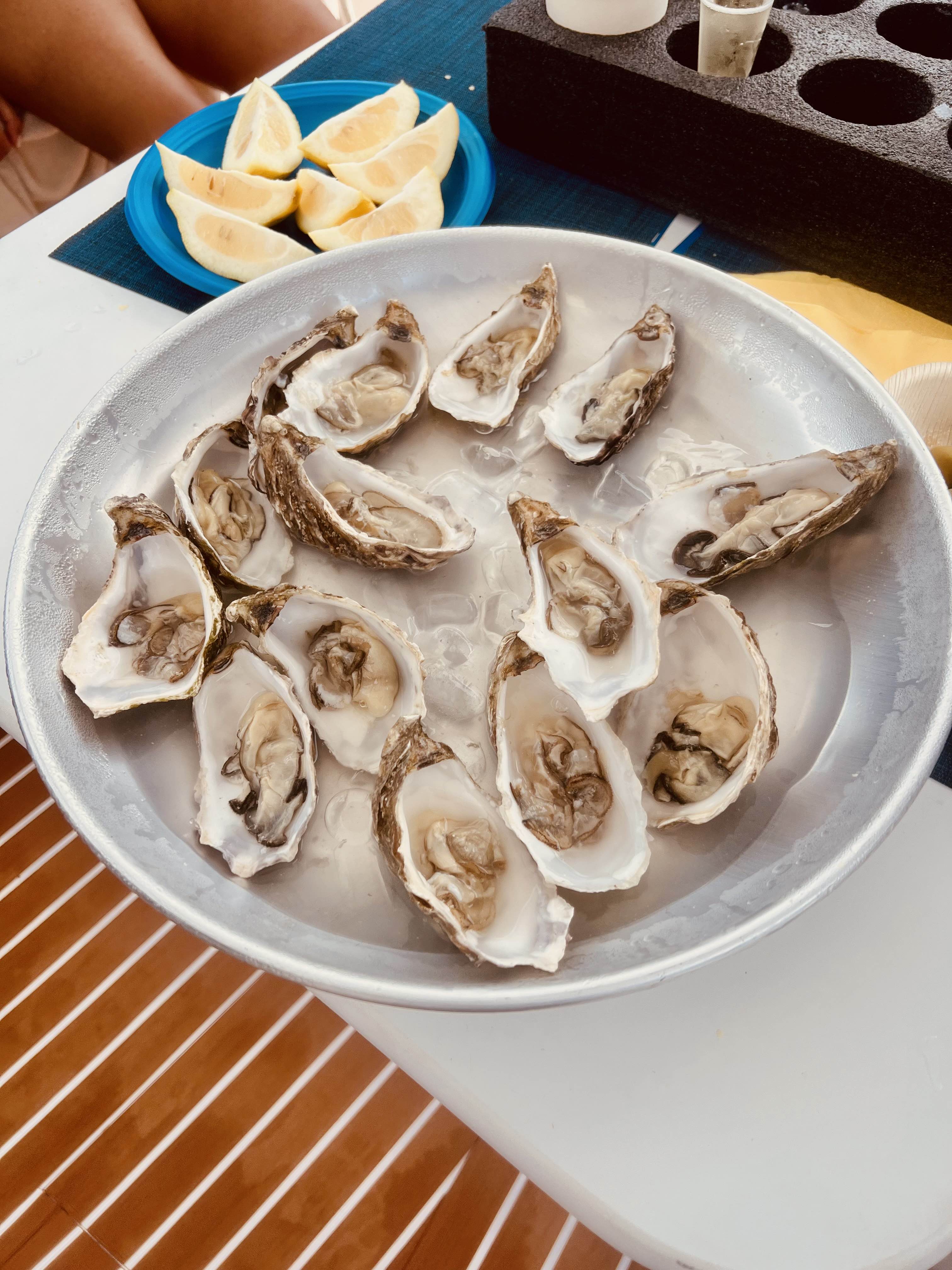 Italian oyster tour ☞ Capitolare Tower