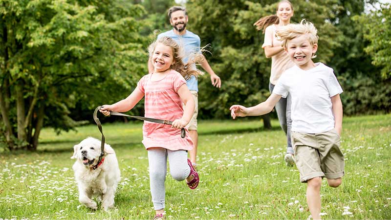 Top Pet Amenities