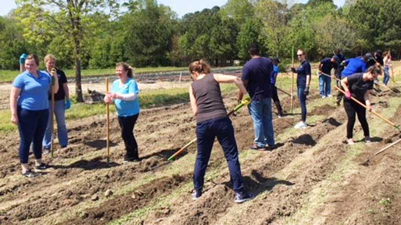 HHHunt Employee Ambassadors Volunteer to Help Others