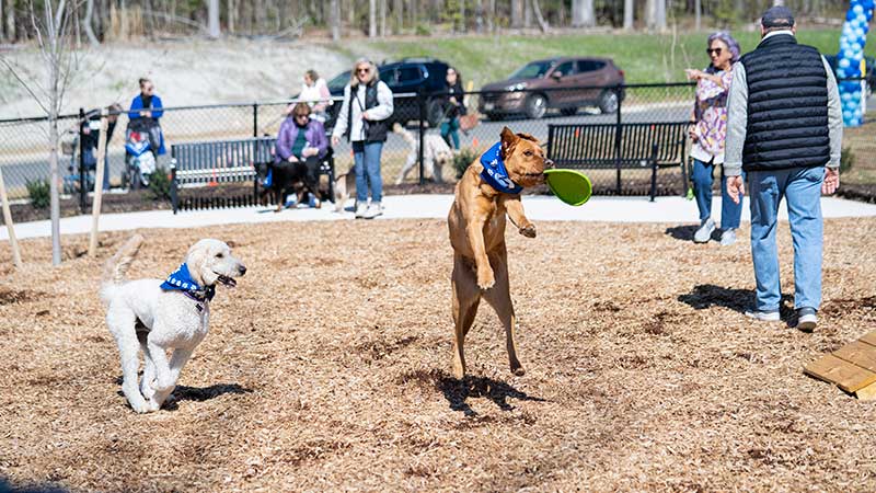 Mosaic at West Creek: Bark Park Grand Opening