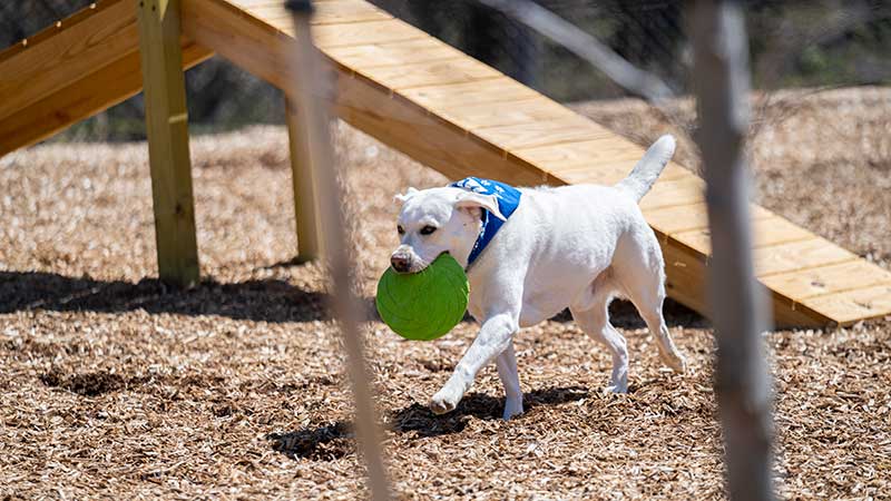 Top Outdoor Amenities To Enjoy This Spring