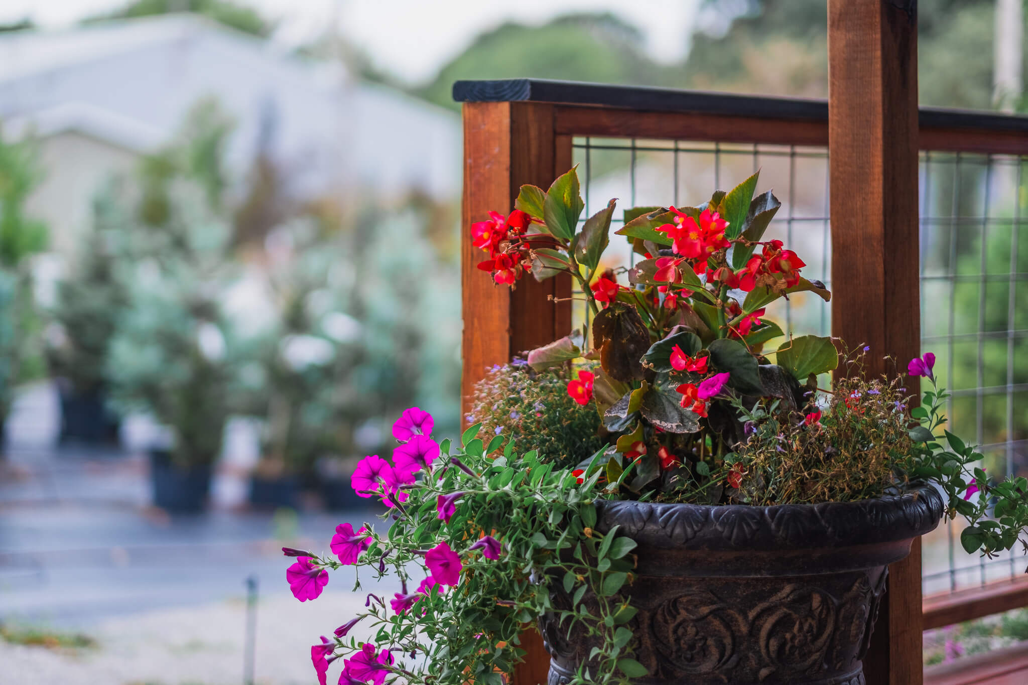 Landmark Nursery & Landscaping Home