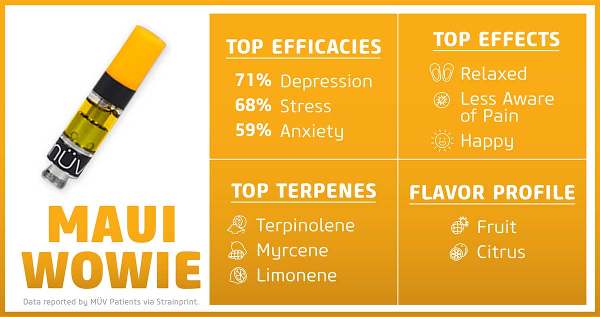 Maui Wowie Strain Information