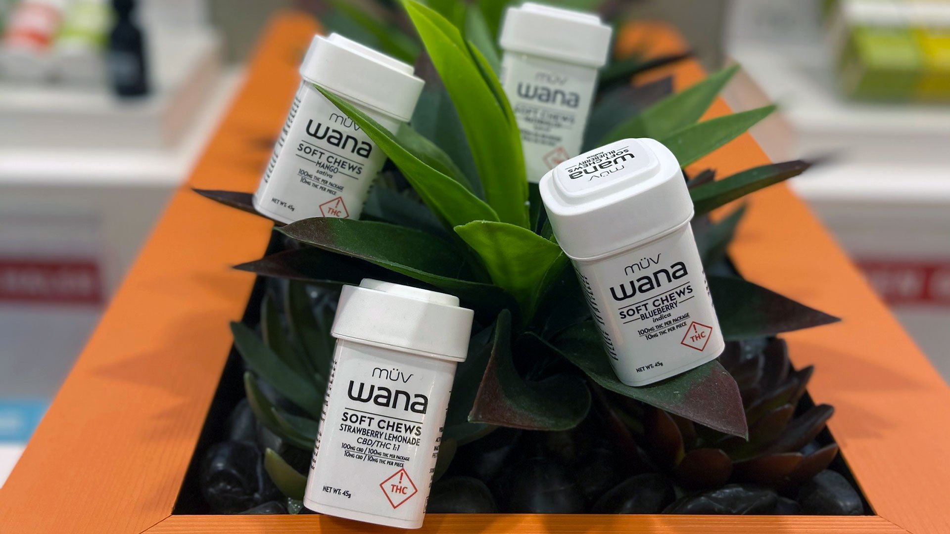 Jacksonville MÜV FL Medical Cannabis Dispensary