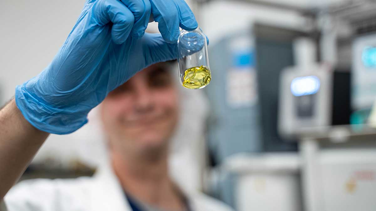 The Future of Cannabis Genetics in a Legalized World