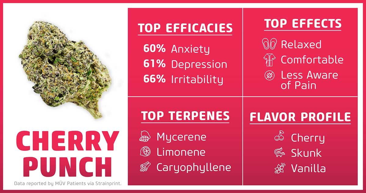 Cherry Punch Strain Information