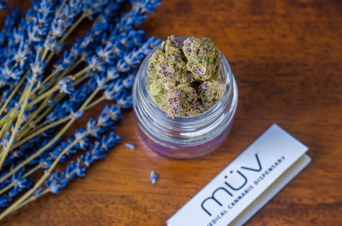 MÜV Cannabis and PTSD