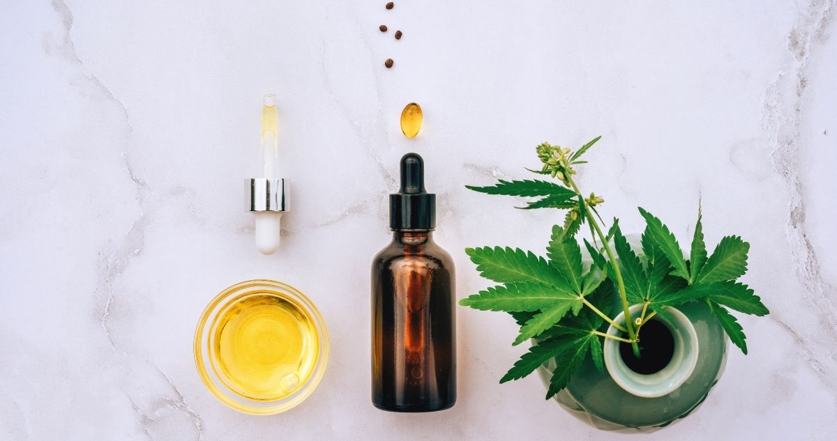 What Kinds of Terpenes Are There?