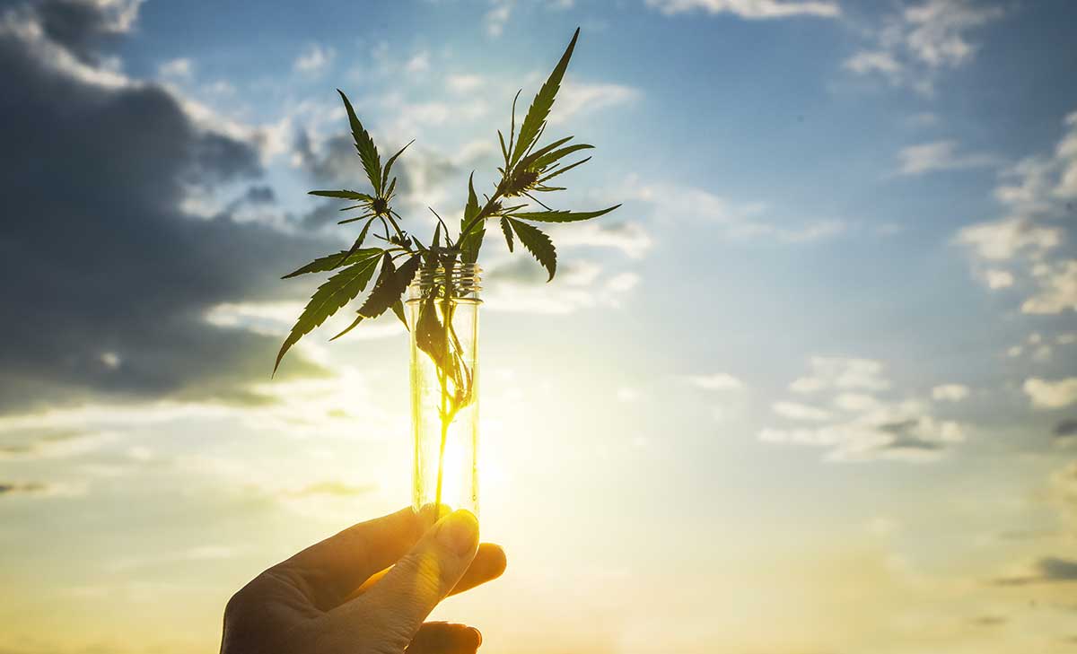 Celebrating National CBD Day