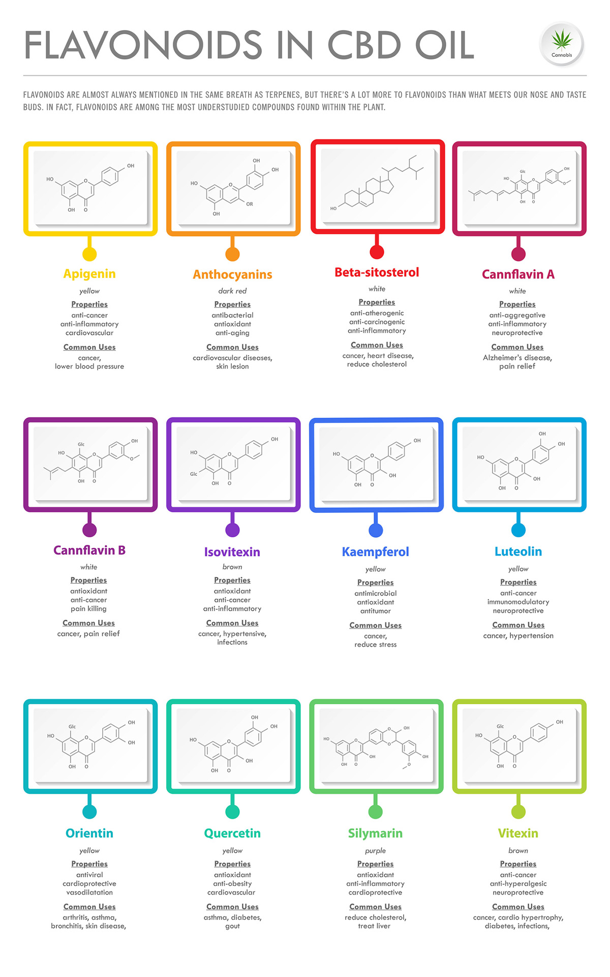 What Is the Entourage Effect in CBD Oil?