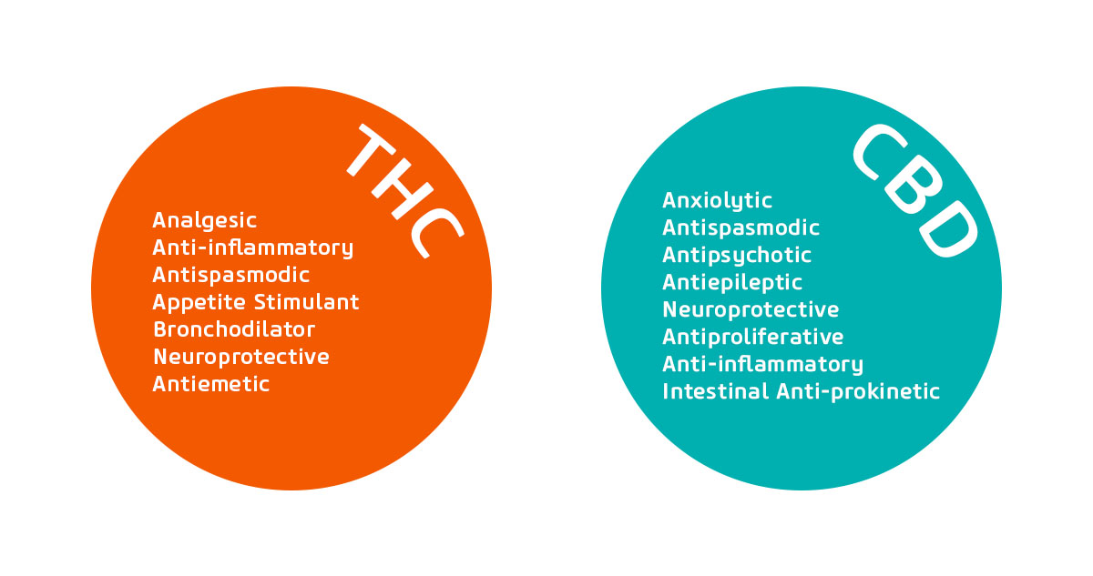 THC and CBD