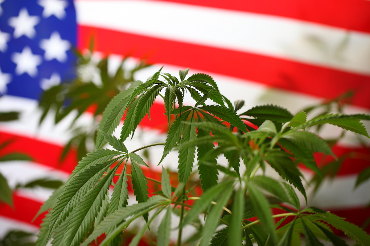 The Patriotic History of Hemp