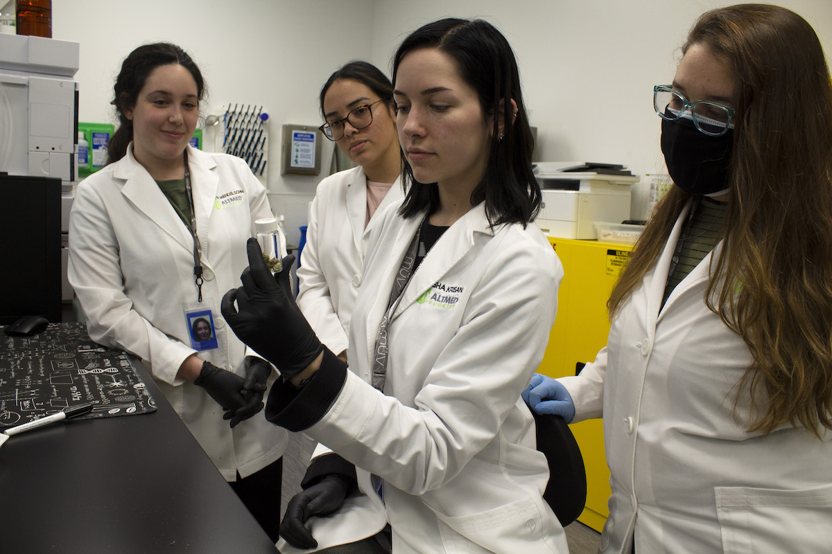 Women in Cannabis and Stem