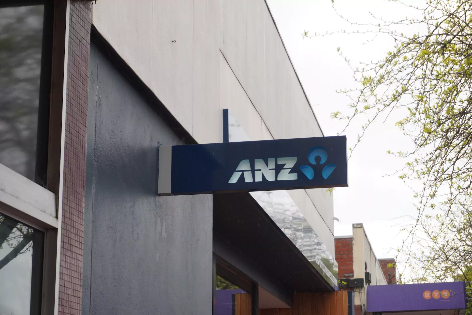 most-profitable-business-in-australia-thriday