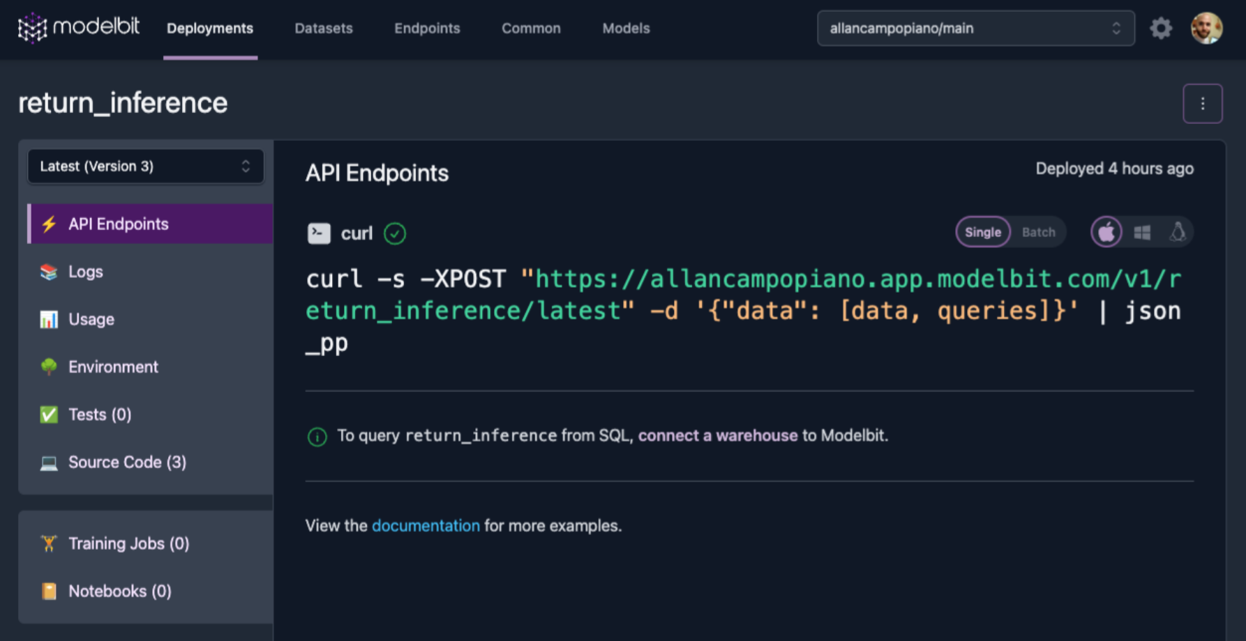 RESPI API generated by Modelbit for the deployed ML model.