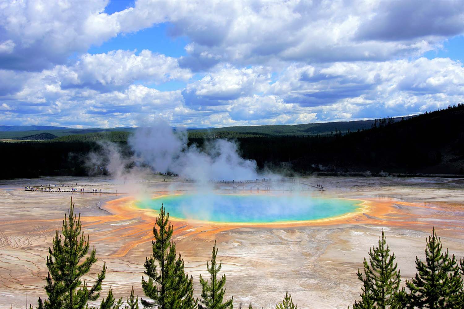 Image from Yellowstone National Park.