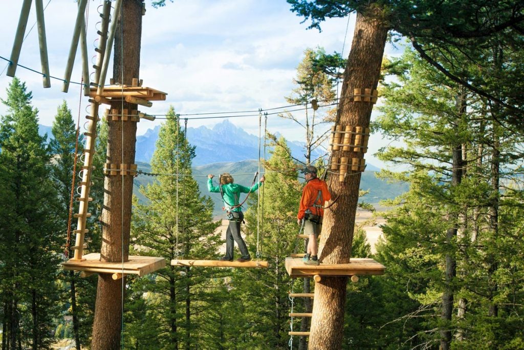 Treetop adventure course
