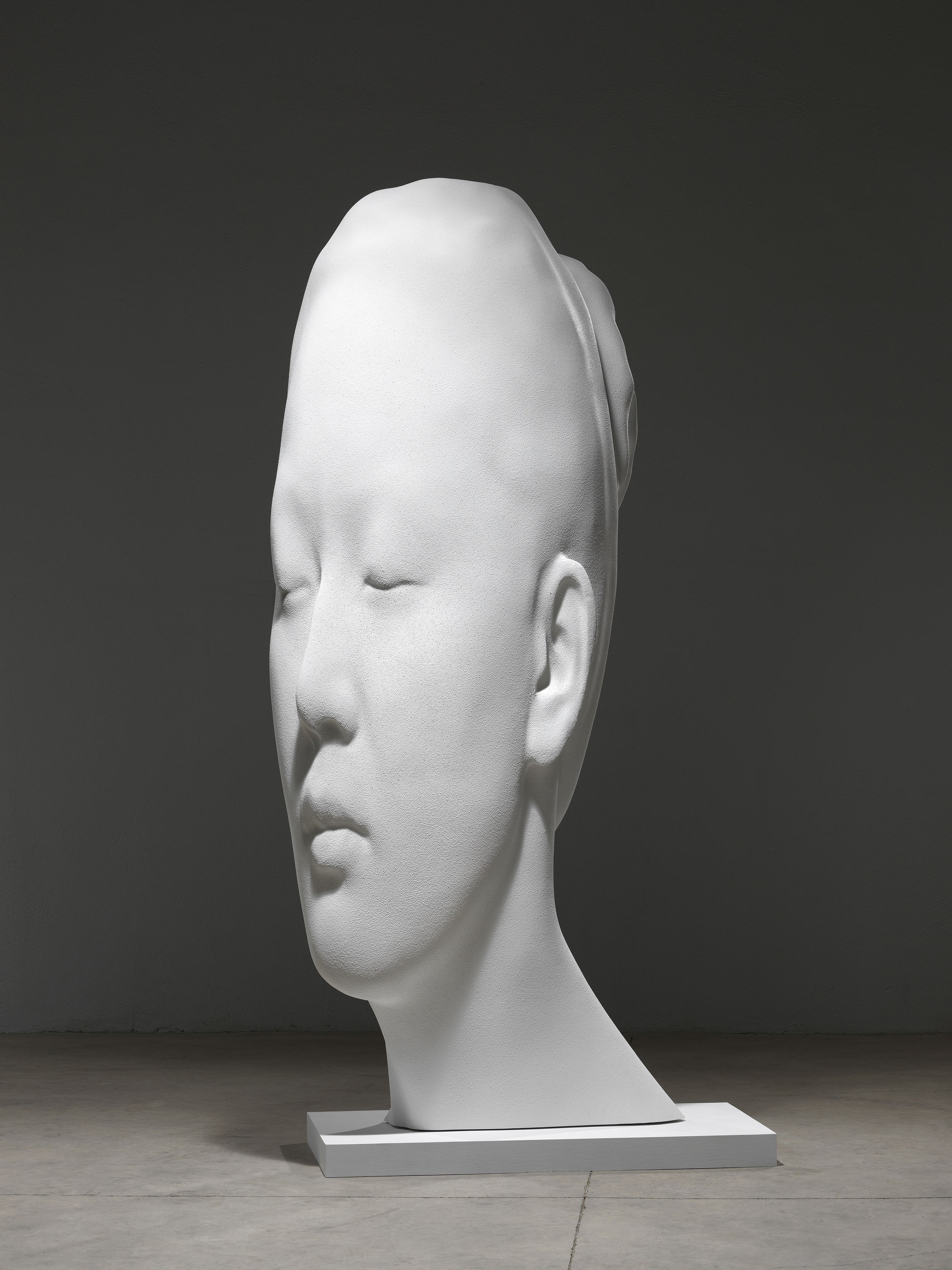 Jaume Plensa, Laura Asia in White , 2017. Courtesy the artist and Richard Gray Gallery. Image by Gasull Fotografia, Plensa Studio Barcelona.
