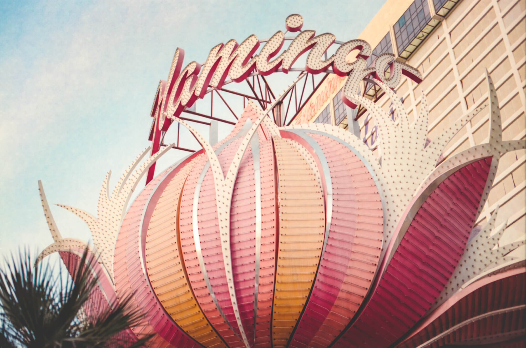 FrancesClarkVegasFlamingo.jpg