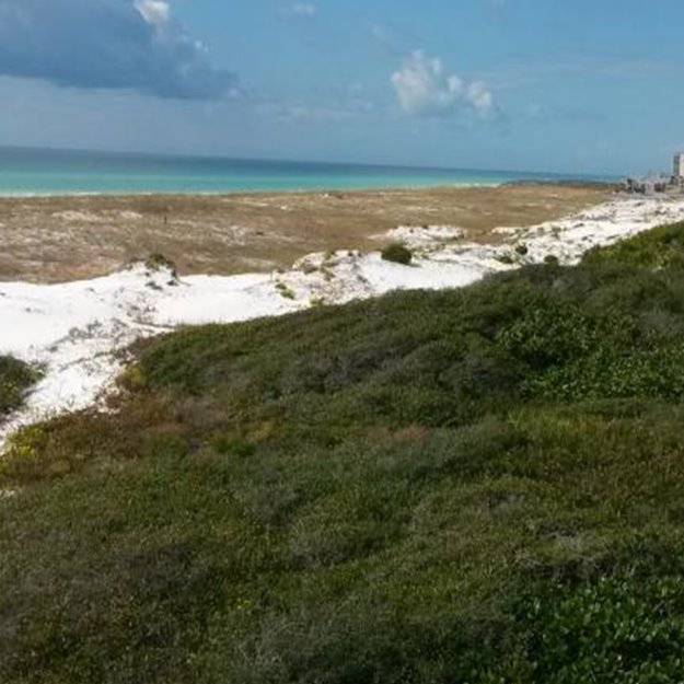 Henderson Beach State Park