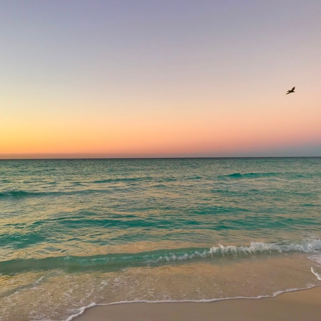 Fall Into Endless Sunsets