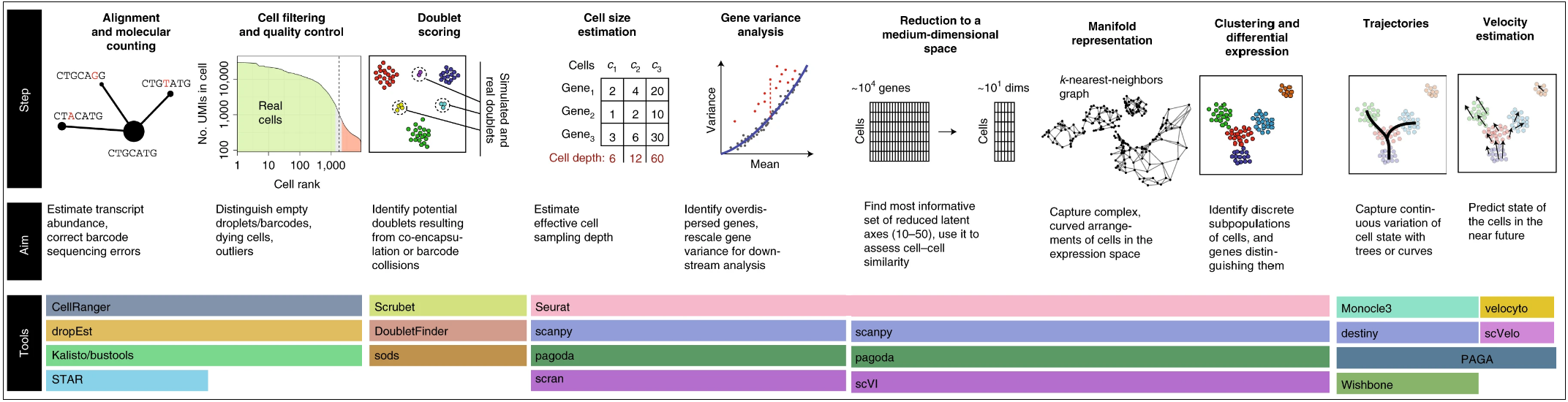 Challenges in Single-Cell RNA Seq Data Analysis & Solutions