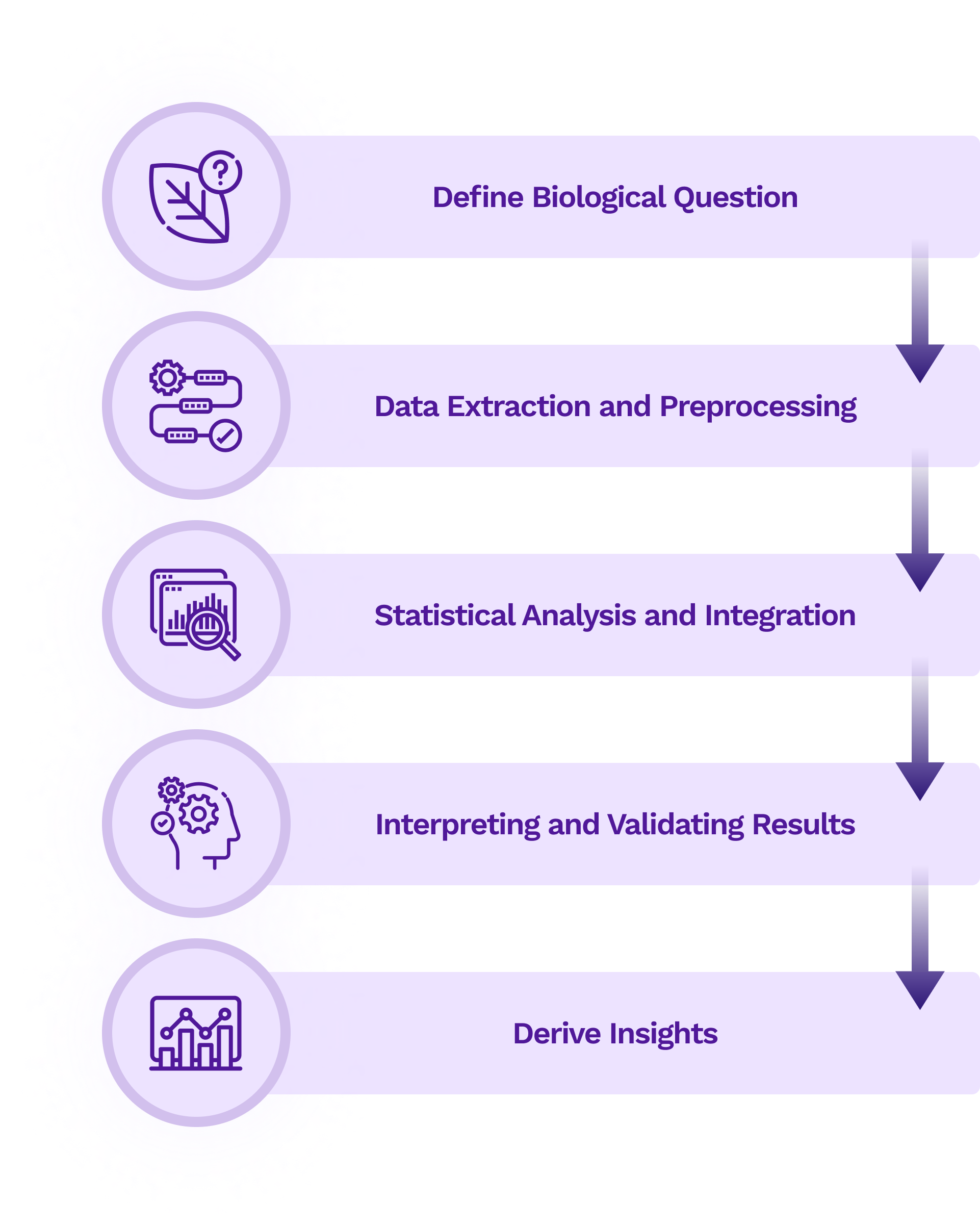 Transcriptomics Meta-Analysis Using GEO Datasets