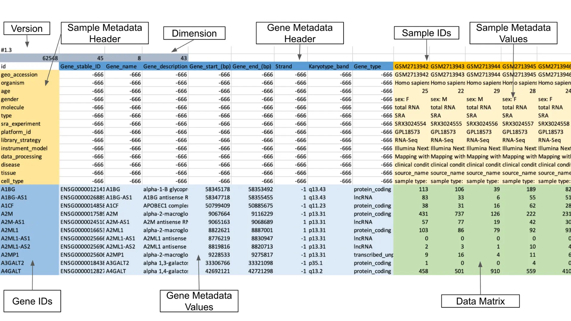 .GCT v/s .TSV Comparing File Formats for Storing Gene Expression Data
