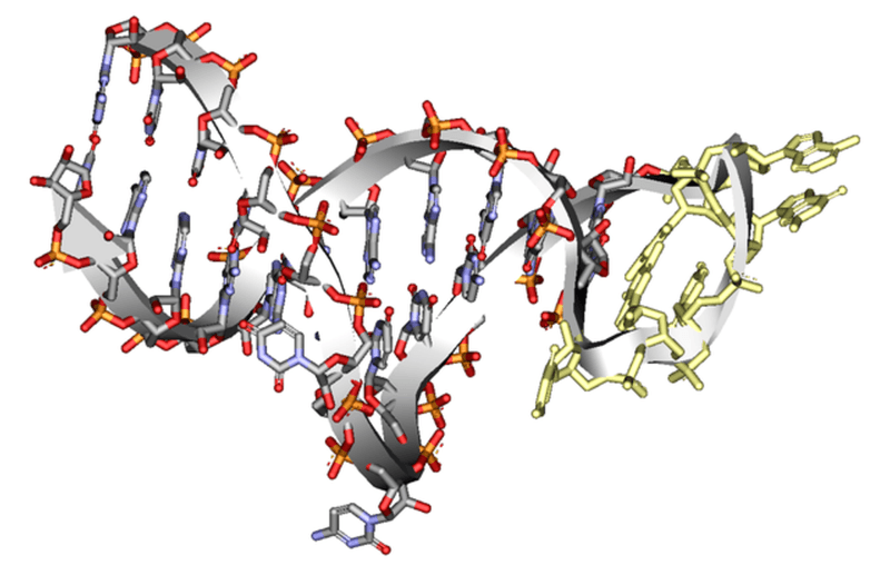 Essential amino acid Lthreonine prolongs healthspan thanks to ferritin