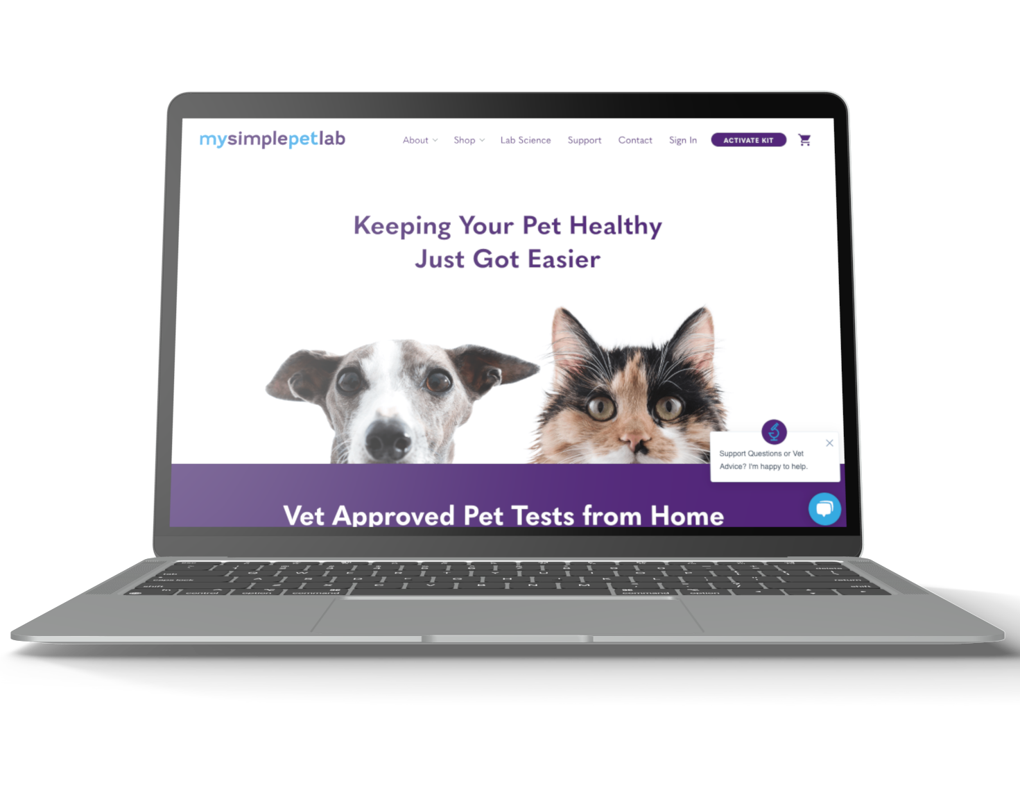 MySimplePetLab Case Study