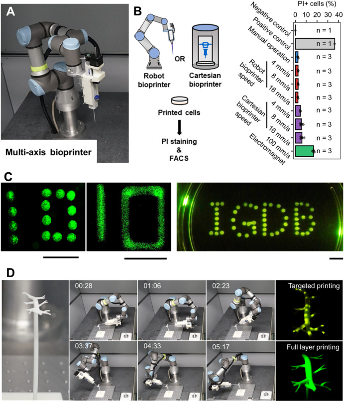 The six-axis robot bioprinter brings no damage to cells and supports multi-dimensional cell printing. Image via Bioactive Materials.