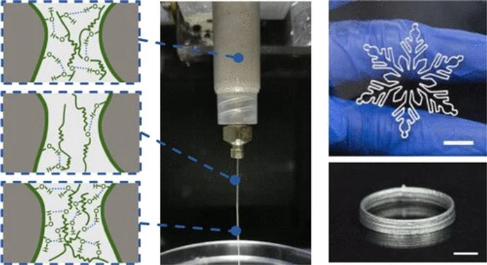 Graphical abstract. (CREDIT: ACS Applied Materials & Interfaces (2022). DOI: 10.1021/acsami.1c22975)