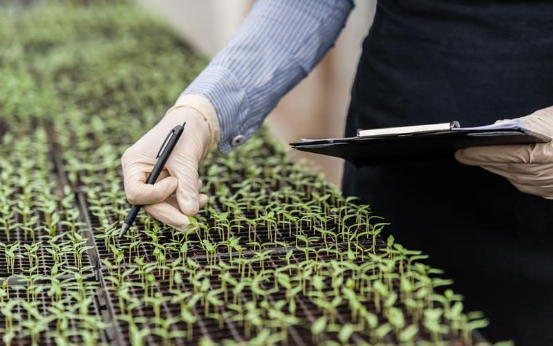 The client's goal was to develop an Internet of Things (IoT) solution to enable farmers to increase their yields, reduce waste, and optimise resources. The challenge for Mobiloitte was that they did not have any expertise or experience in agriculture or horticulture.