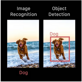 Simplified Image Analysis: AI Object Detection | Eden AI