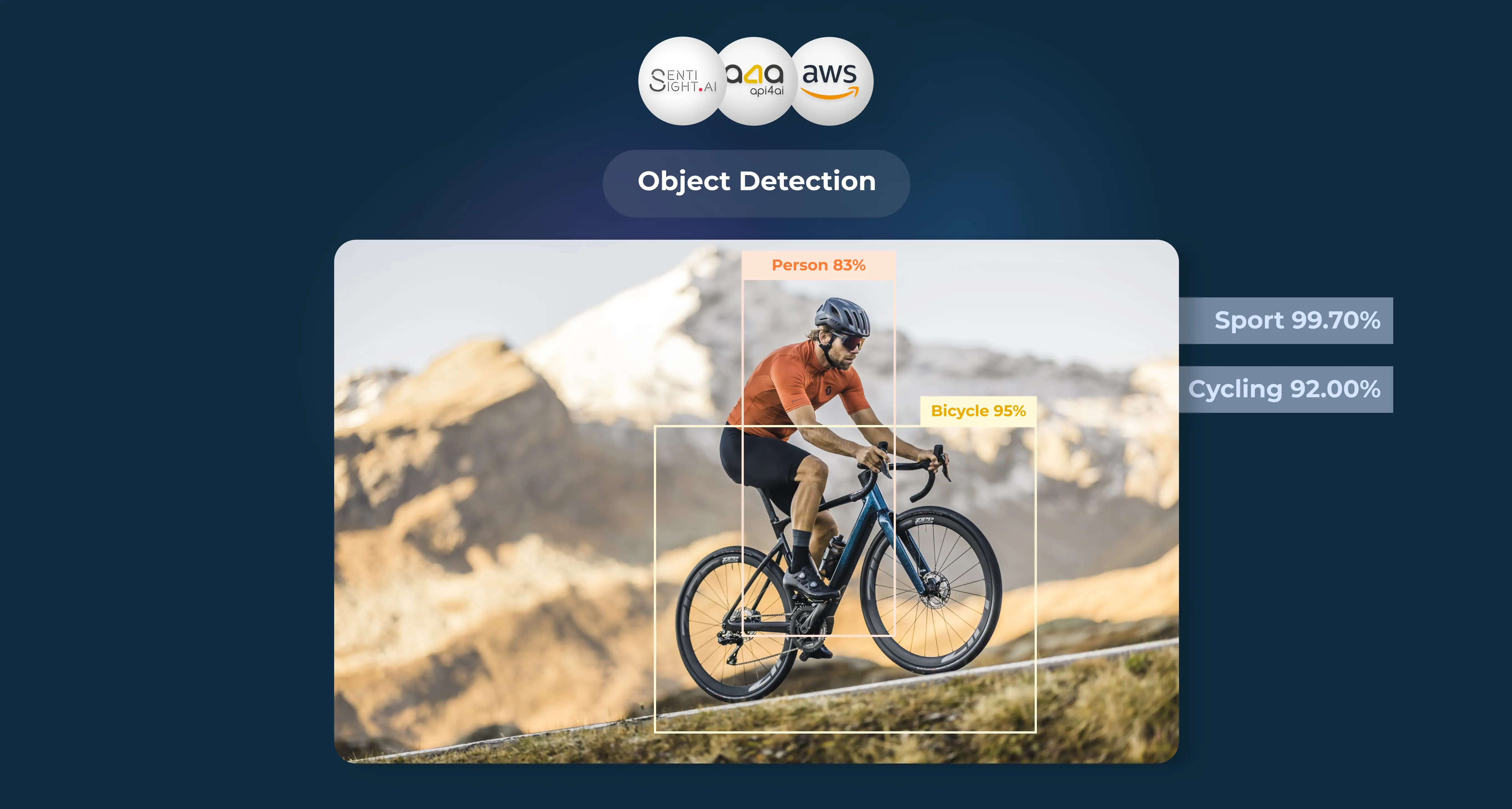 AI-Driven Object Detection APIs - Eden AI