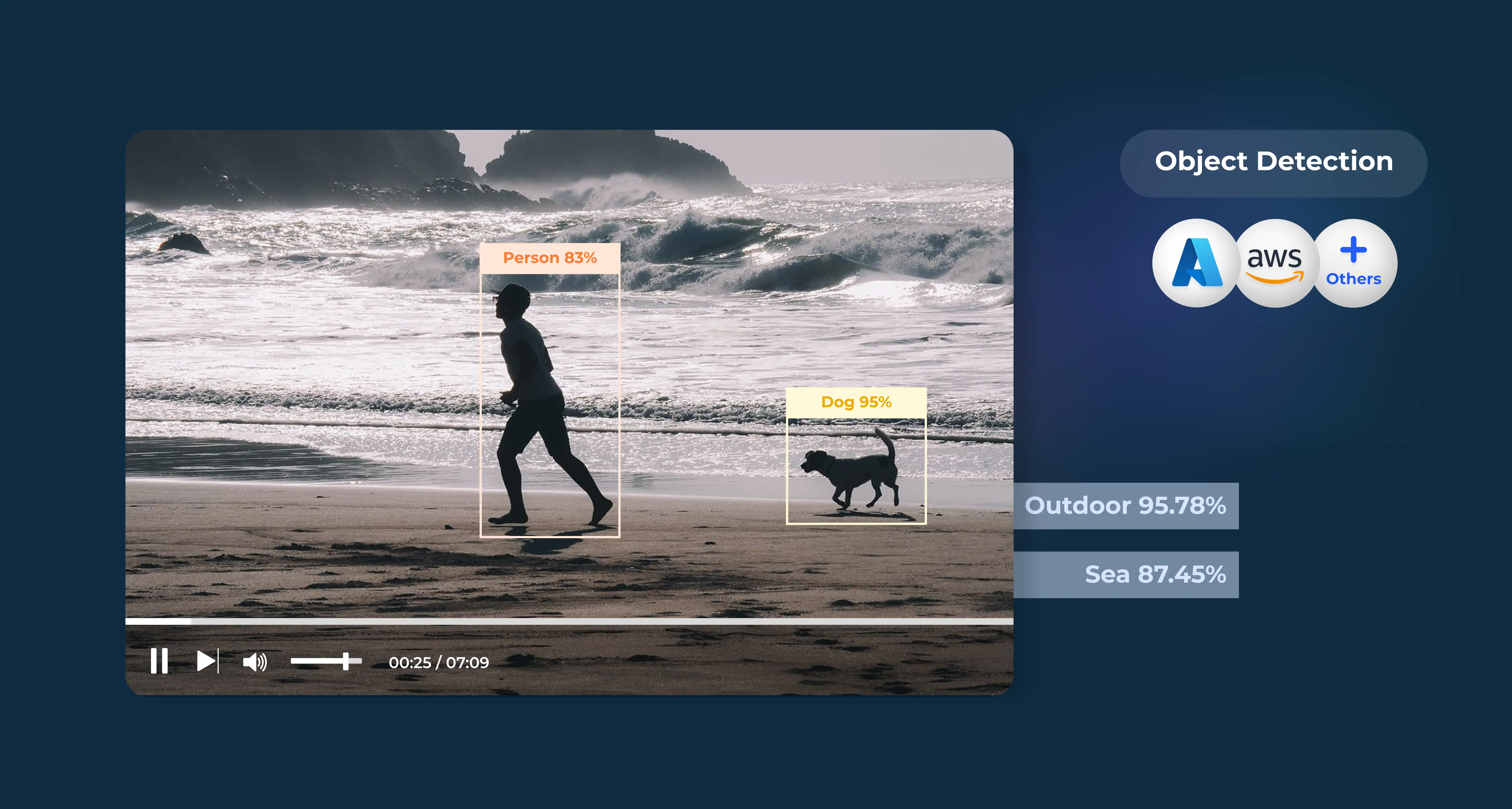 Label Detection APIs