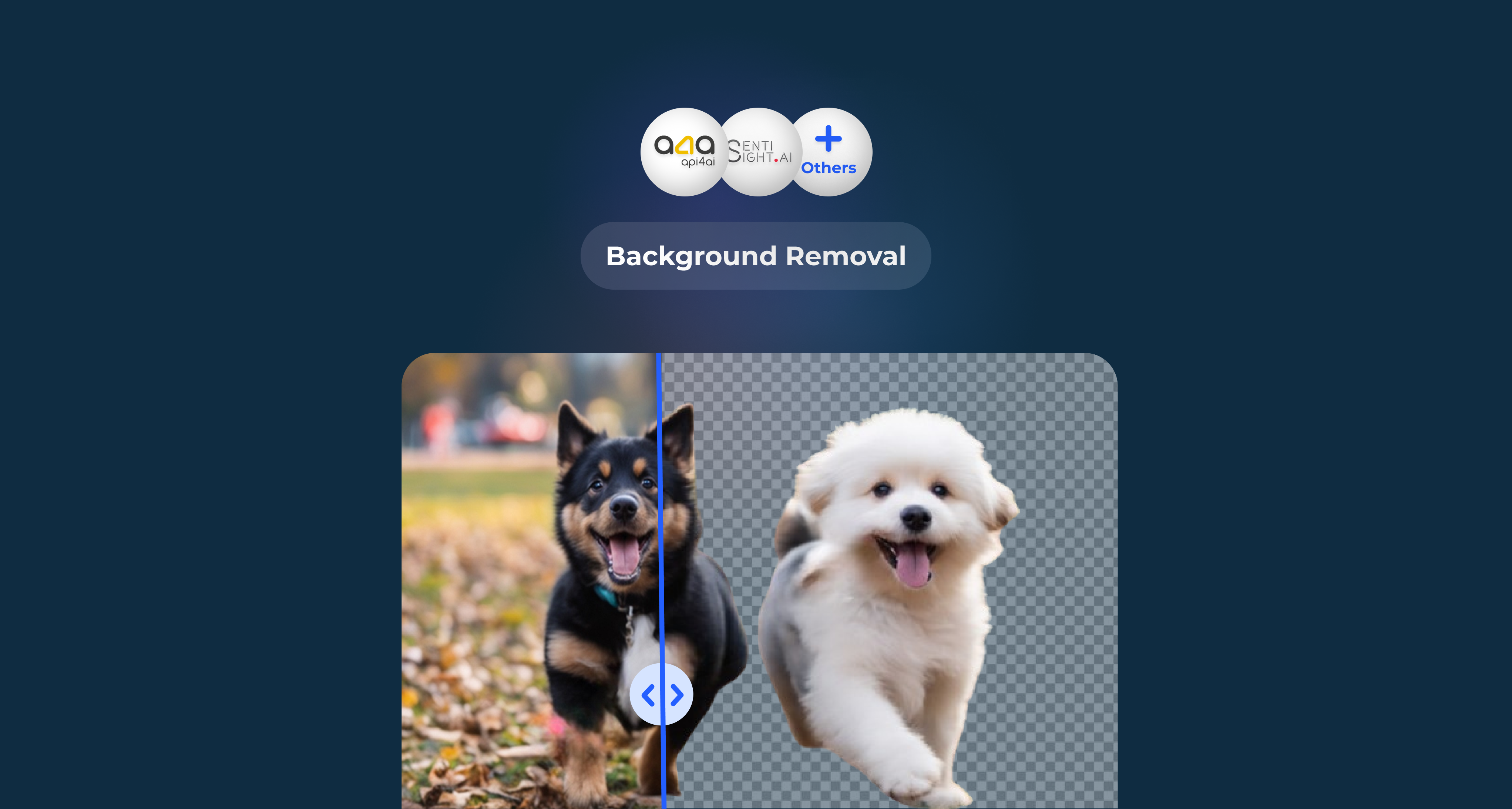 Background Removal